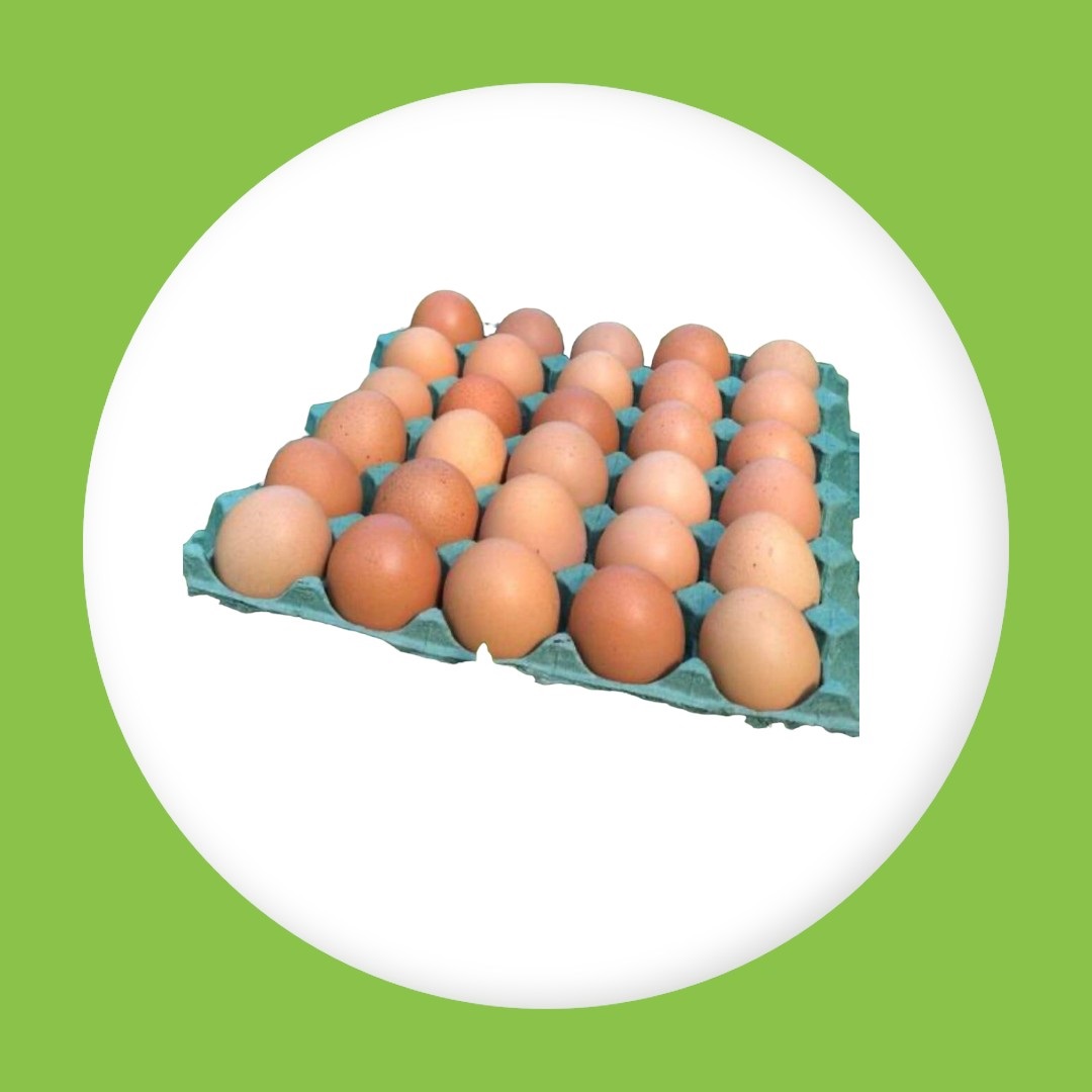 Huevos