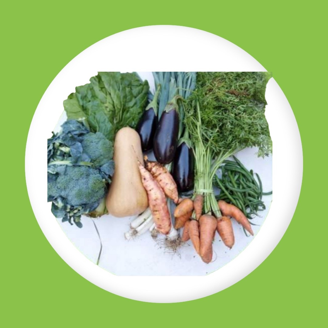 Bolsón de verduras agroecológicas (Chico)